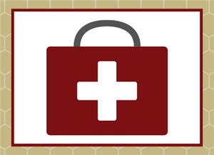 Health Icon