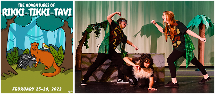 Rikki-Tikki-Tavi poster & photo