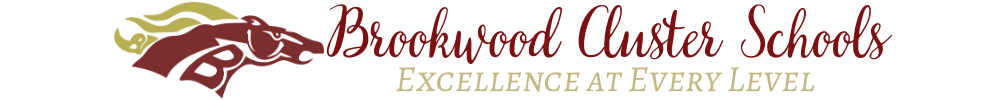 Brookwood Cluster Schools title