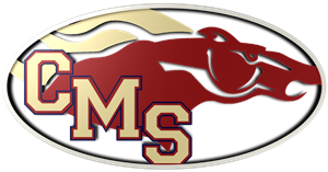 Bronco logo in oval 