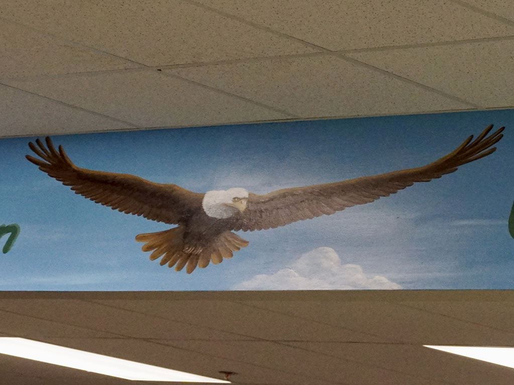 eagle mural in media center eagle mural in media center