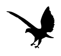 Image of Eagle 