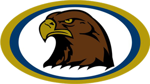 Falcon Logo
