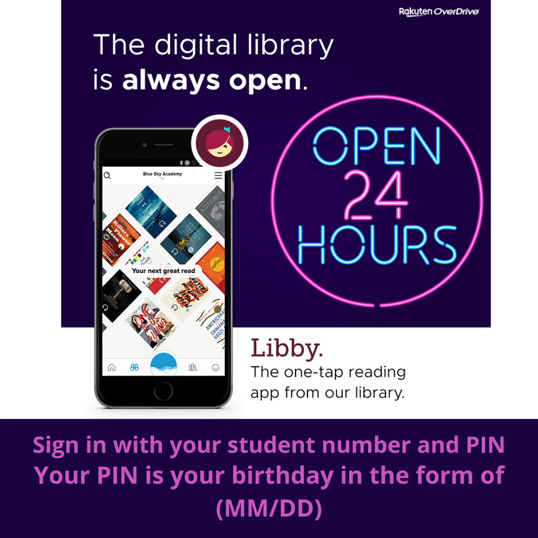 Public Access for Gwinnett County Library Website
