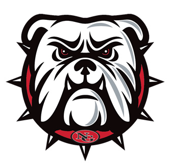 North Gwinnett High School Logo 