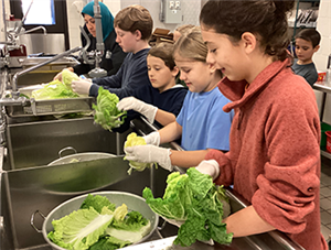White Oaks ES lettuce washing station