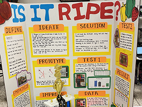 Mason ES Trifold for Science Fair