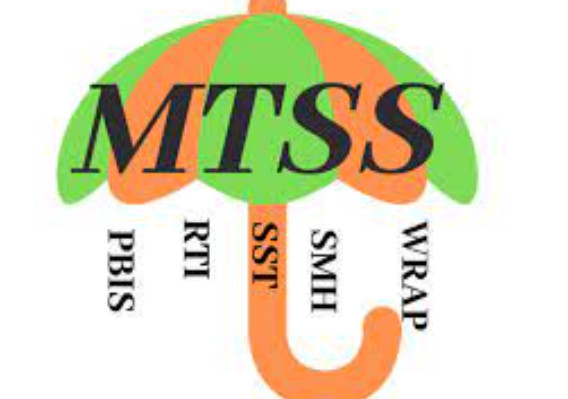 MTSS Umbrella