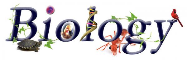 Biology - decorative text covered in living things 
