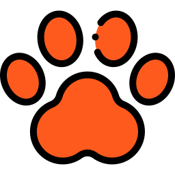 Paw Image