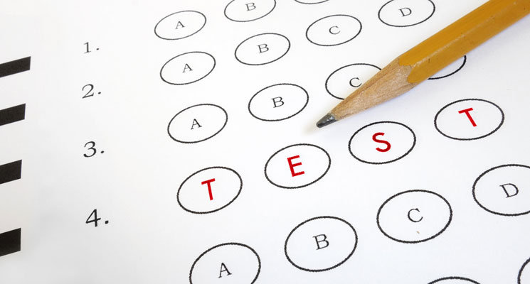 Assessment 