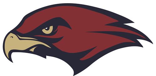 hawk