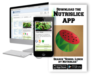 nutrislice icon 