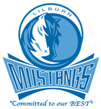 mustangs