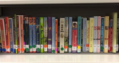 Book shelves. Book shelves.