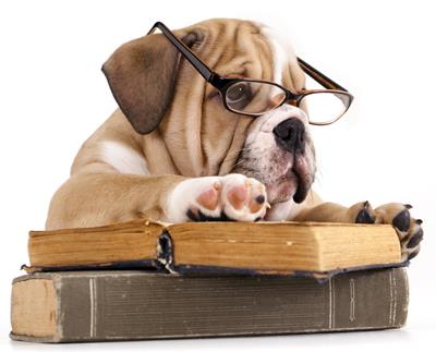 READING BULLDOG 