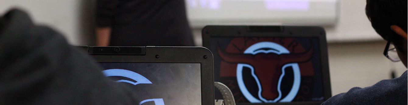 Image of students using chromebooks