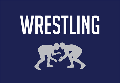 wrestling 