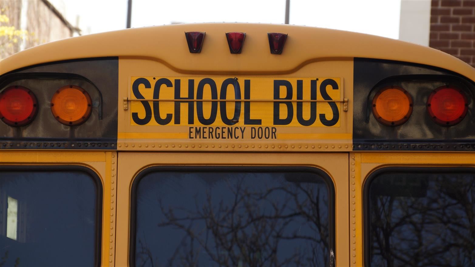 Image of back of school bus Image of back of school bus