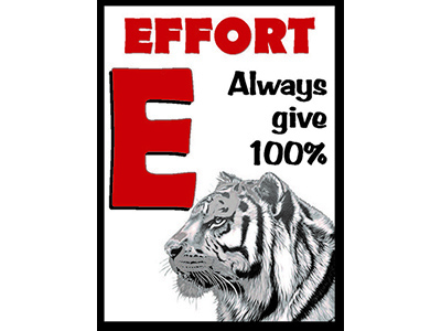 E is for effort tiger