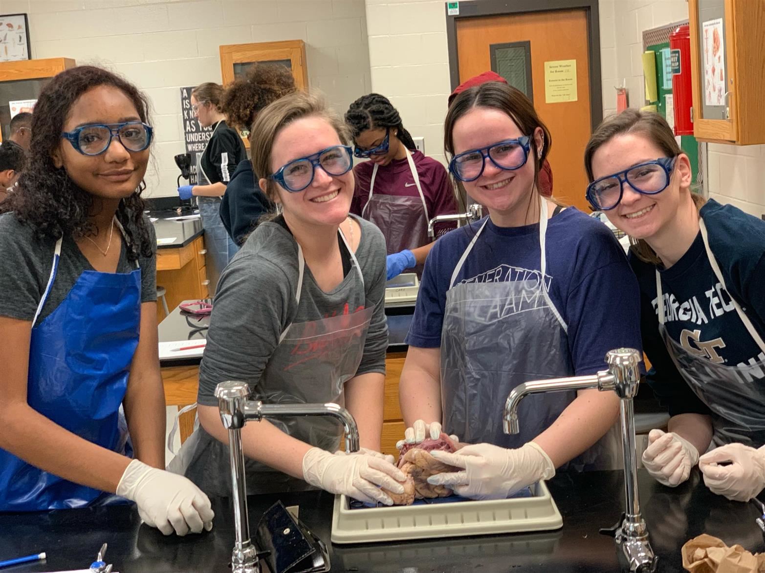 Students in Biology class