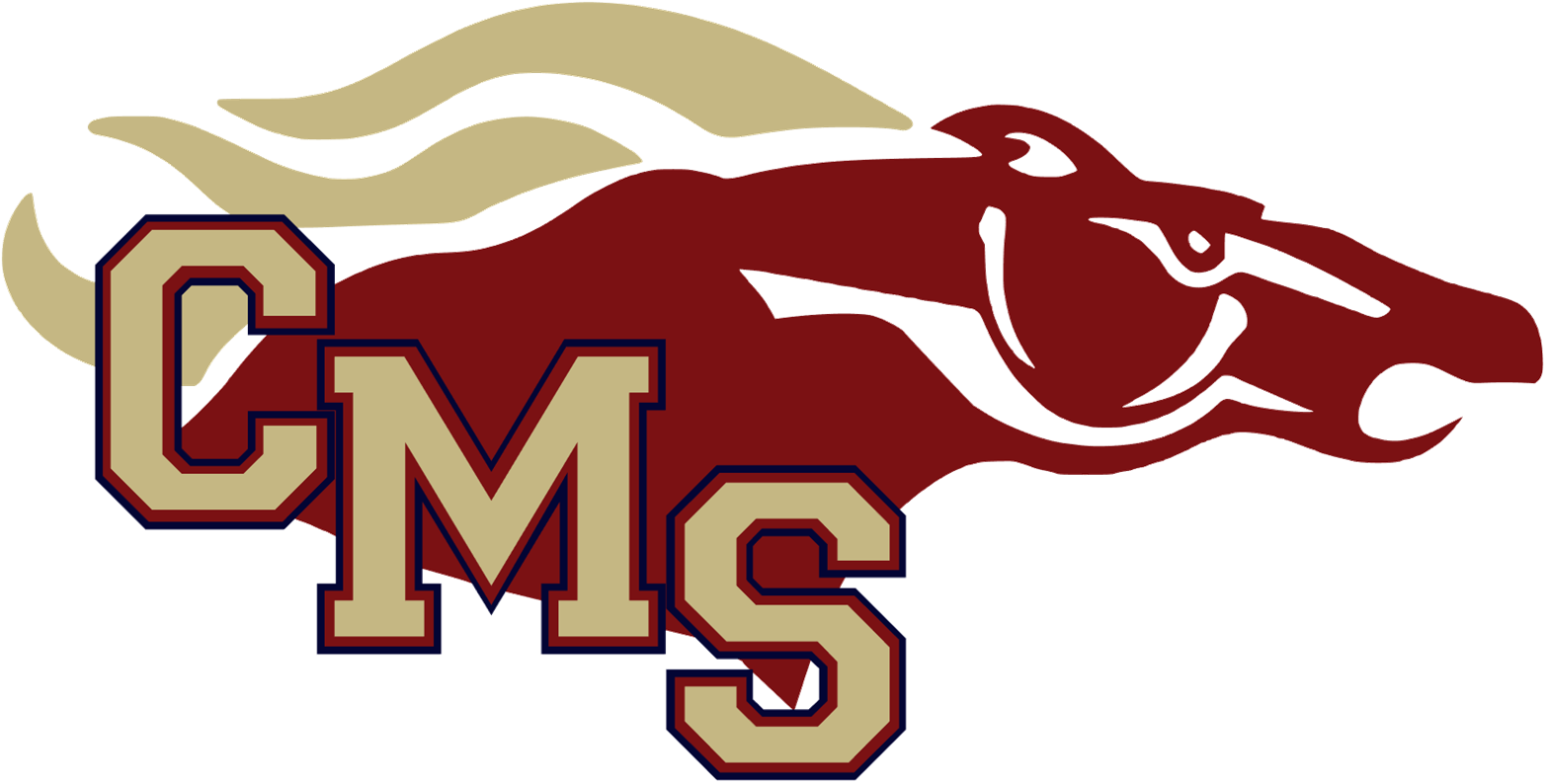 CMS logo 
