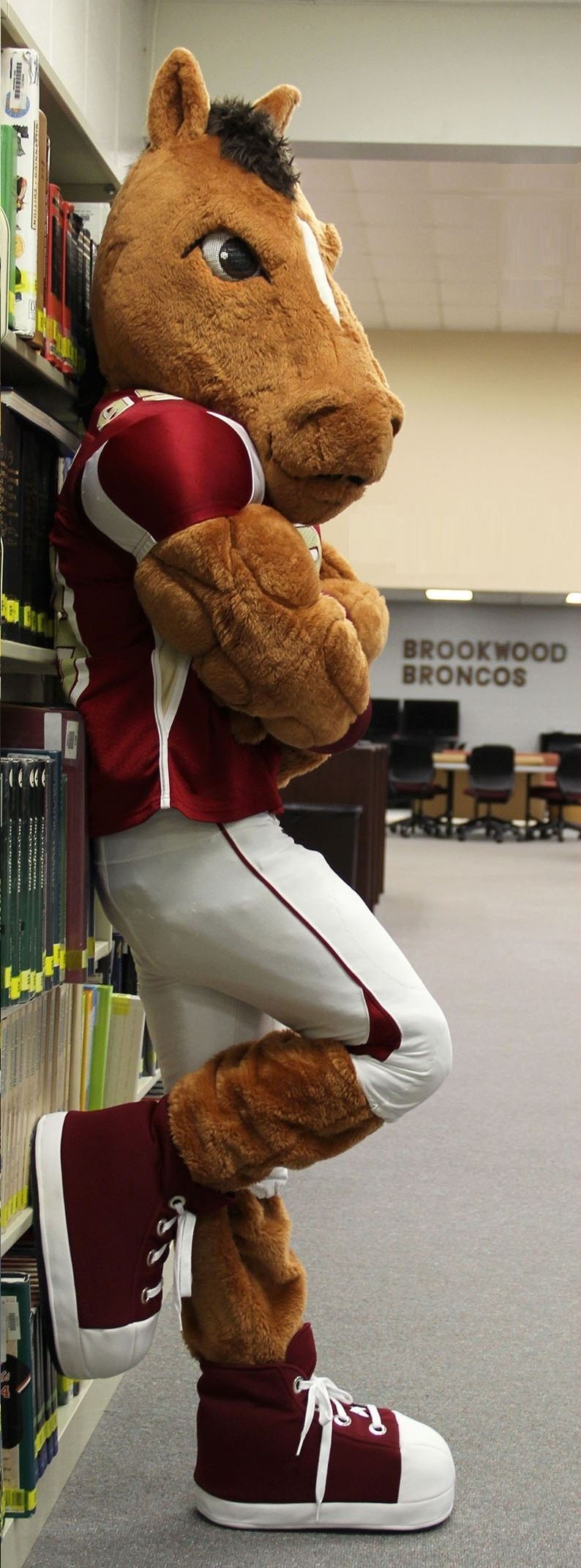 Bronco mascot in costume leaning against book shelf