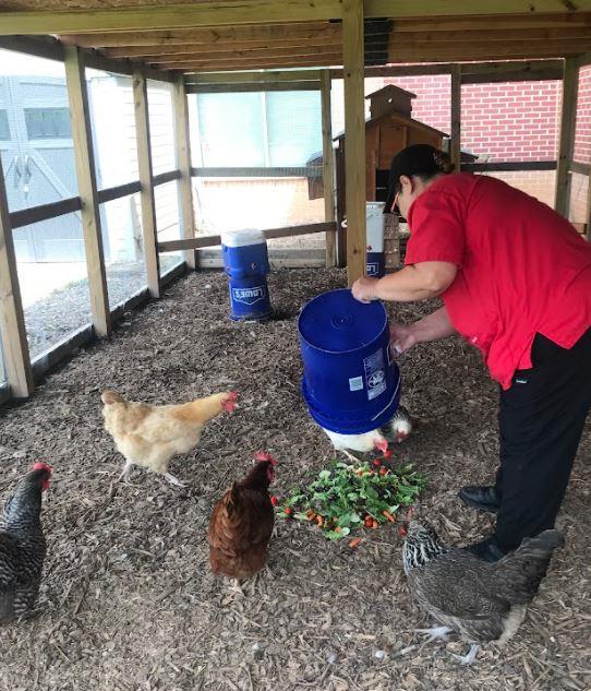 Ms. Hennebaul and her Chicken